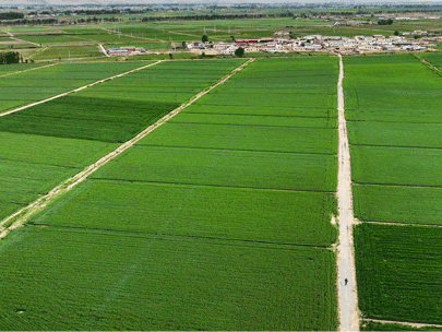 如何選擇一款經濟高效的以電折水設備？