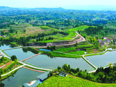 政策解讀丨2025中央一號文件中，涉及的水利內容有哪些？