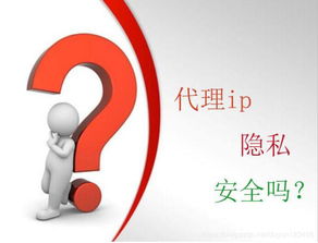 代理IP對維護安全隱私的重要性及應用于票務代理服務